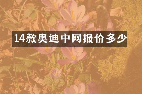 14款奥迪中网报价多少
