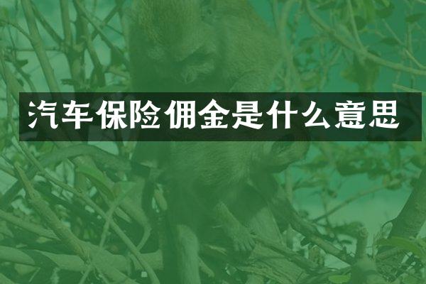 汽车保险佣金是什么意思