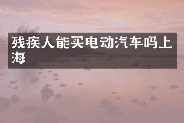 残疾人能买电动汽车吗上海