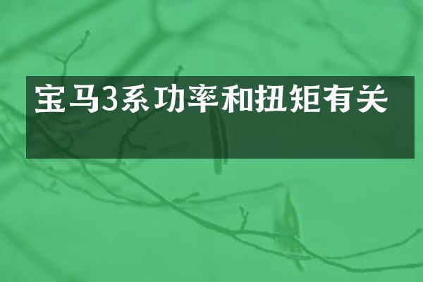 宝马3系功率和扭矩有关吗