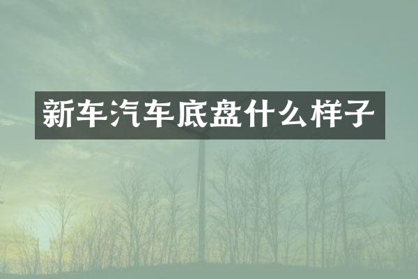 新车汽车底盘什么样子