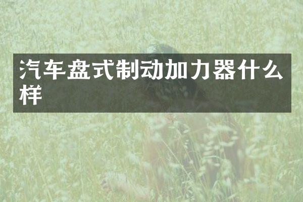汽车盘式制动加力器什么样