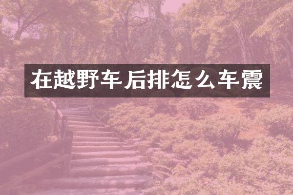 在越野车后排怎么车震