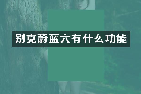 别克蔚蓝六有什么功能
