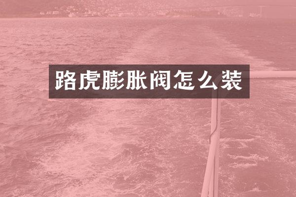 路虎膨胀阀怎么装