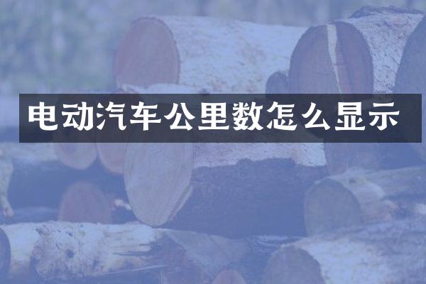 电动汽车公里数怎么显示