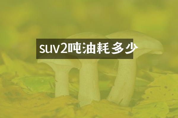 suv2吨油耗多少