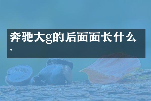奔驰大g的后面面长什么样