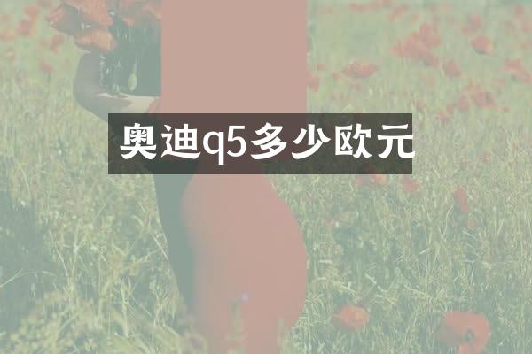 奥迪q5多少欧元
