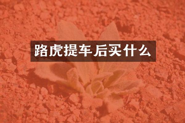 路虎提车后