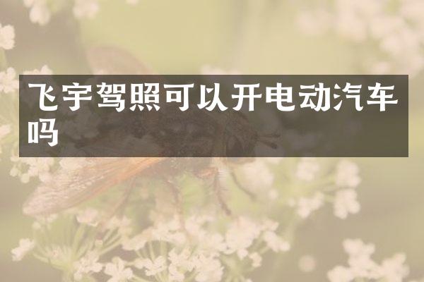 飞宇驾照可以开电动汽车吗