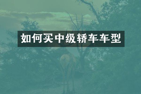 如何买中级轿车车型