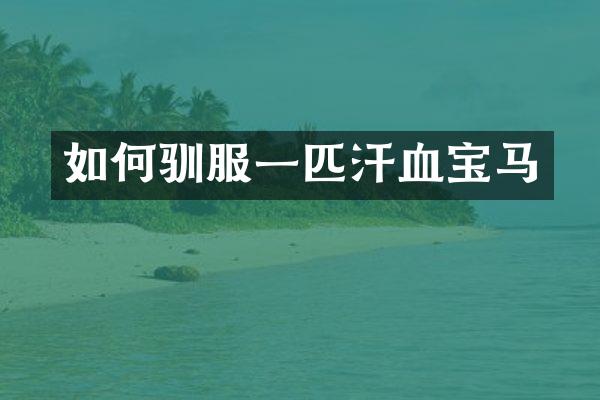 如何驯服一匹汗血宝马