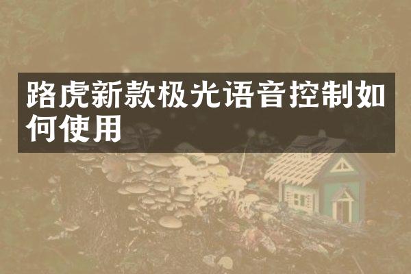 路虎新款极光语音控制如何使用