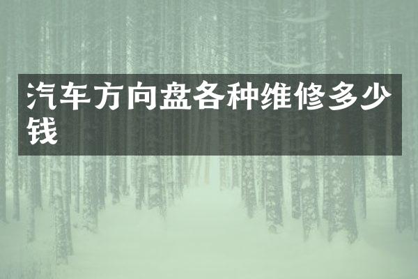 汽车方向盘各种维修多少钱