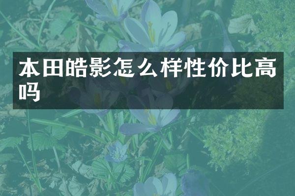 本田皓影怎么样性价比高吗