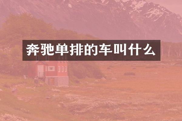 奔驰单排的车叫什么