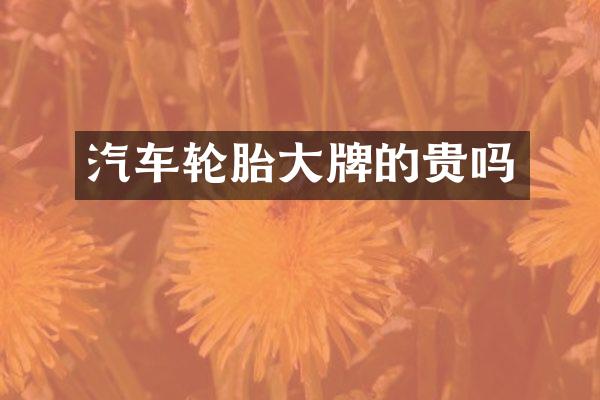 汽车轮胎大牌的贵吗