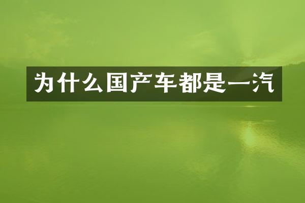 为什么国产车都是一汽