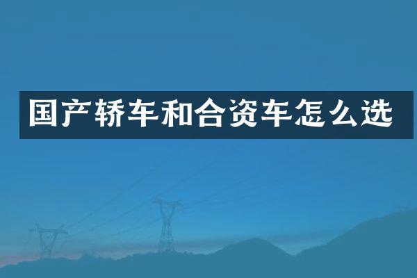 国产轿车和合资车怎么选