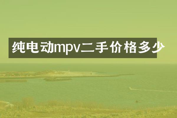纯电动mpv二手价格多少