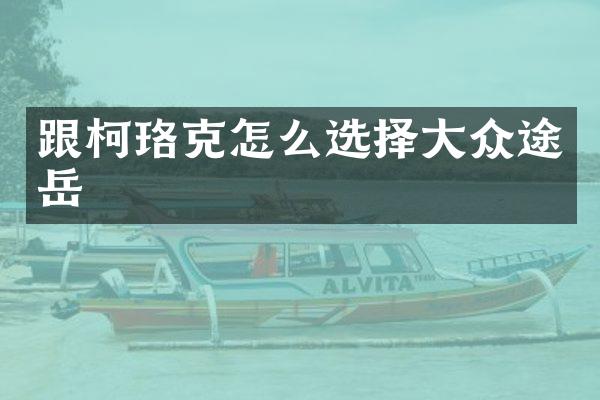 跟柯珞克怎么选择大众途岳