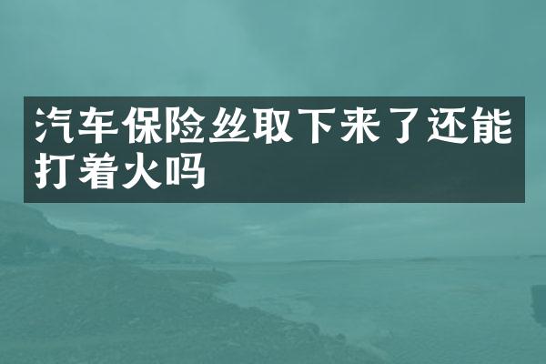 汽车保险丝取下来了还能打着火吗
