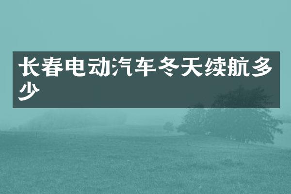 长春电动汽车冬天续航多少