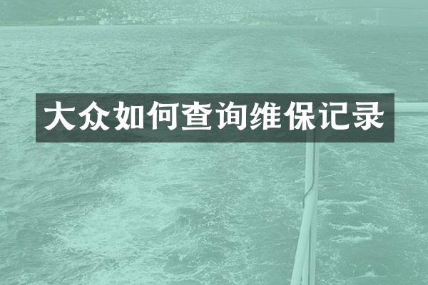 大众如何查询维保记录