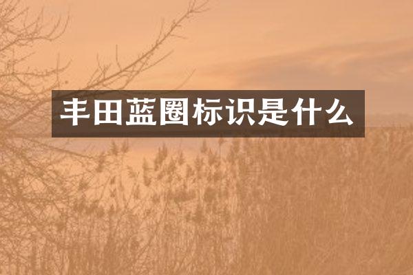 丰田蓝圈标识是什么