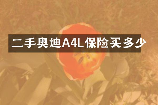 二手奥迪A4L保险买多少