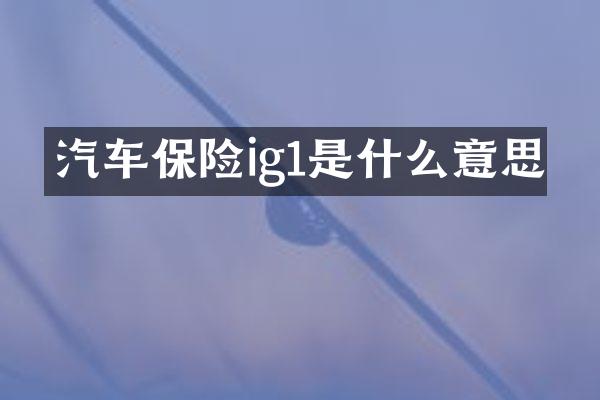 汽车保险ig1是什么意思