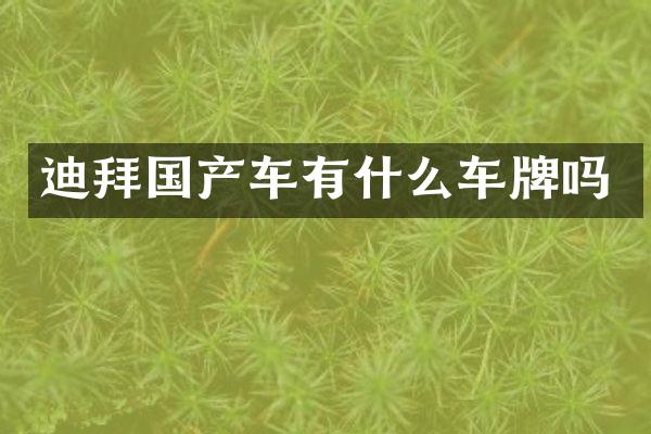 迪拜国产车有什么车牌吗