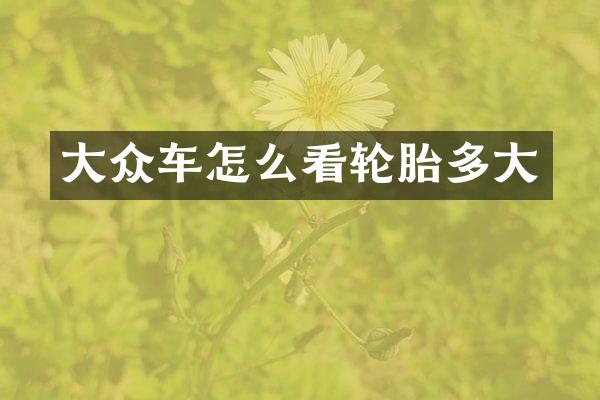 大众车怎么看轮胎多大