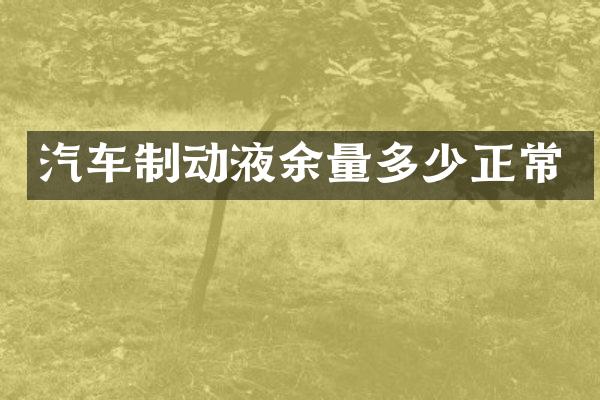 汽车制动液余量多少正常