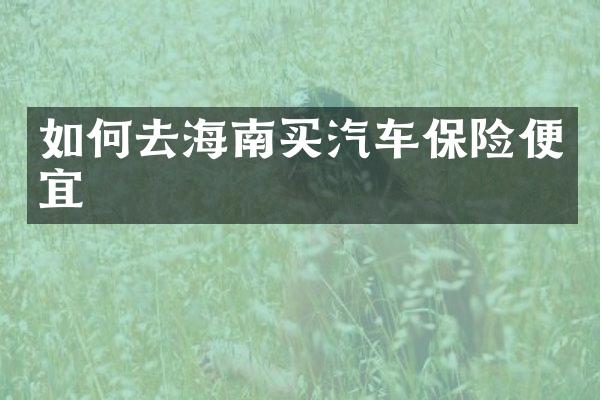 如何去海南买汽车保险便宜
