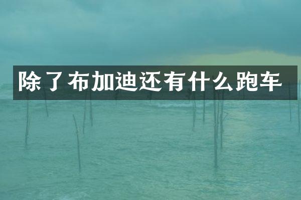 除了布加迪还有什么跑车