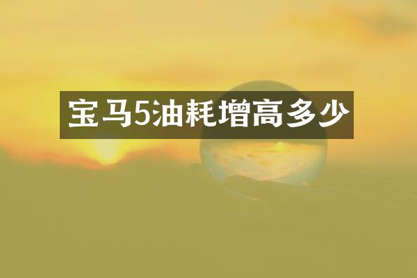 宝马5油耗增高多少