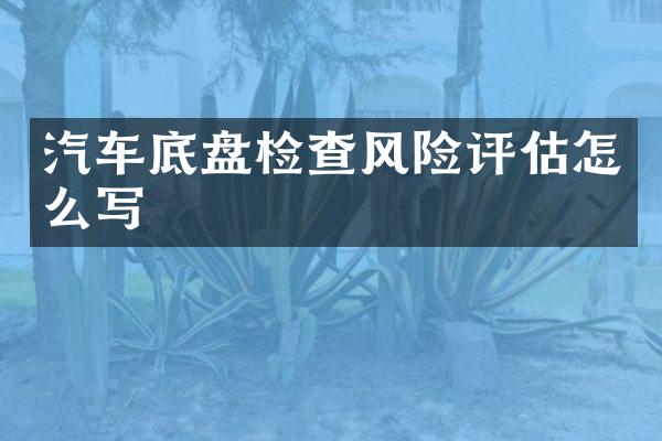 汽车底盘检查风险评估怎么写