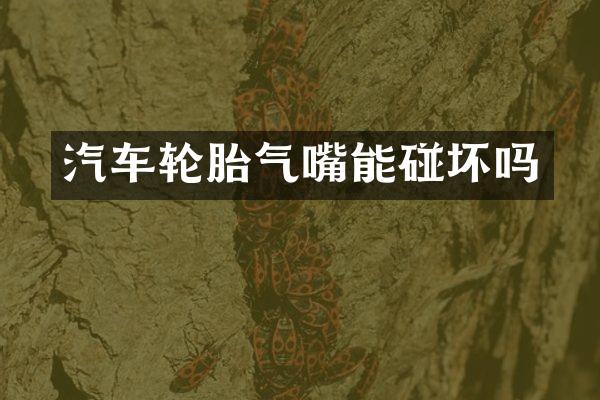 汽车轮胎气嘴能碰坏吗