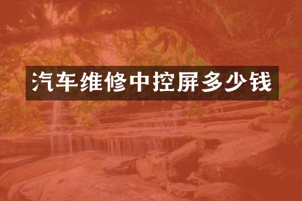 汽车维修中控屏多少钱