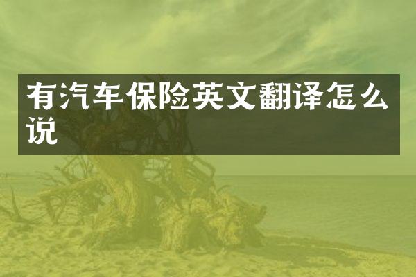 有汽车保险英文翻译怎么说