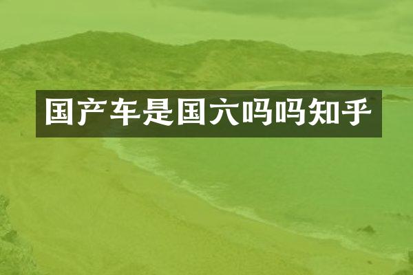 国产车是国六吗吗知乎