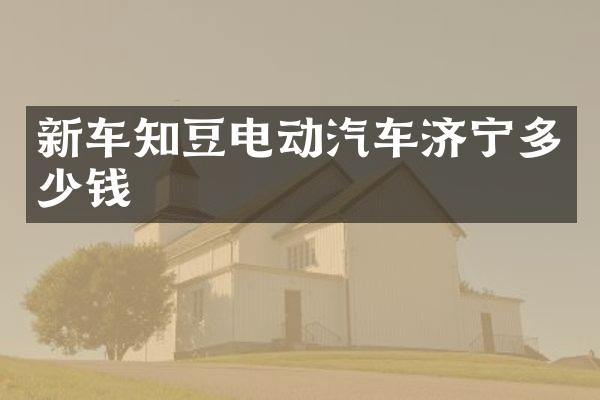 新车知豆电动汽车济宁多少钱