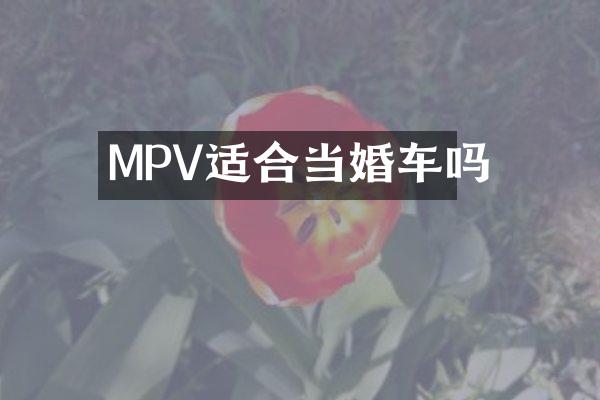MPV适合当婚车吗