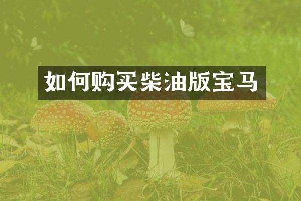 如何购买柴油版宝马