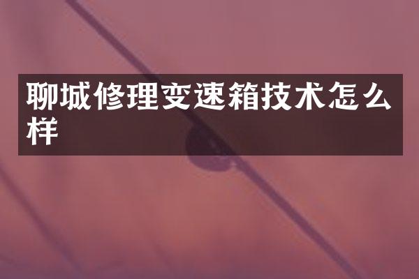聊城修理变速箱技术怎么样