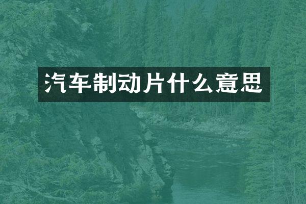 汽车制动片什么意思