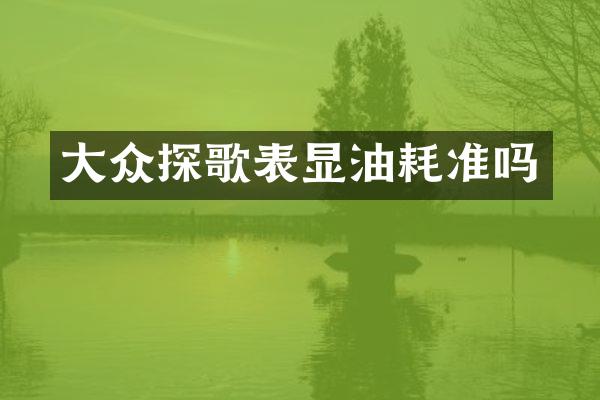 大众探歌表显油耗准吗