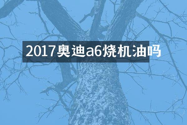 2017奥迪a6烧机油吗